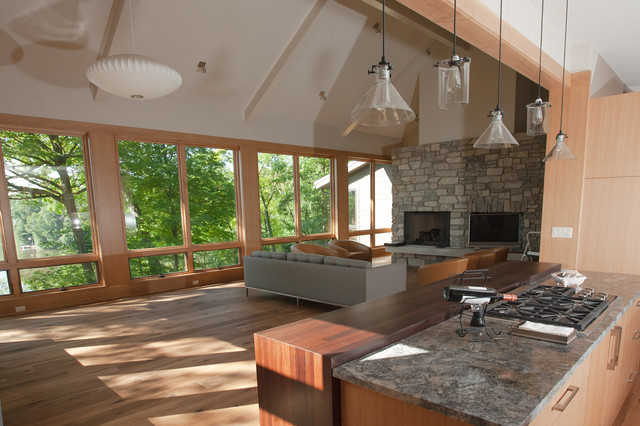 Thornapple River contemporary-living-room
