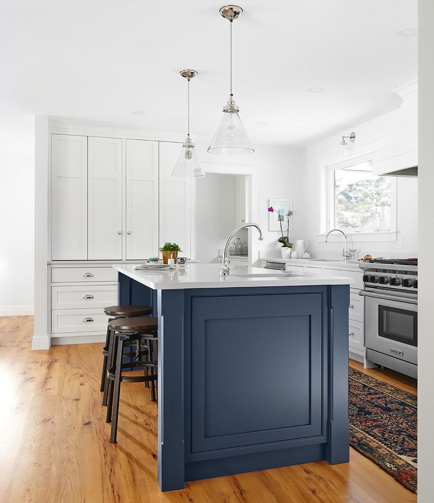 Kitchen - transitional kitchen idea