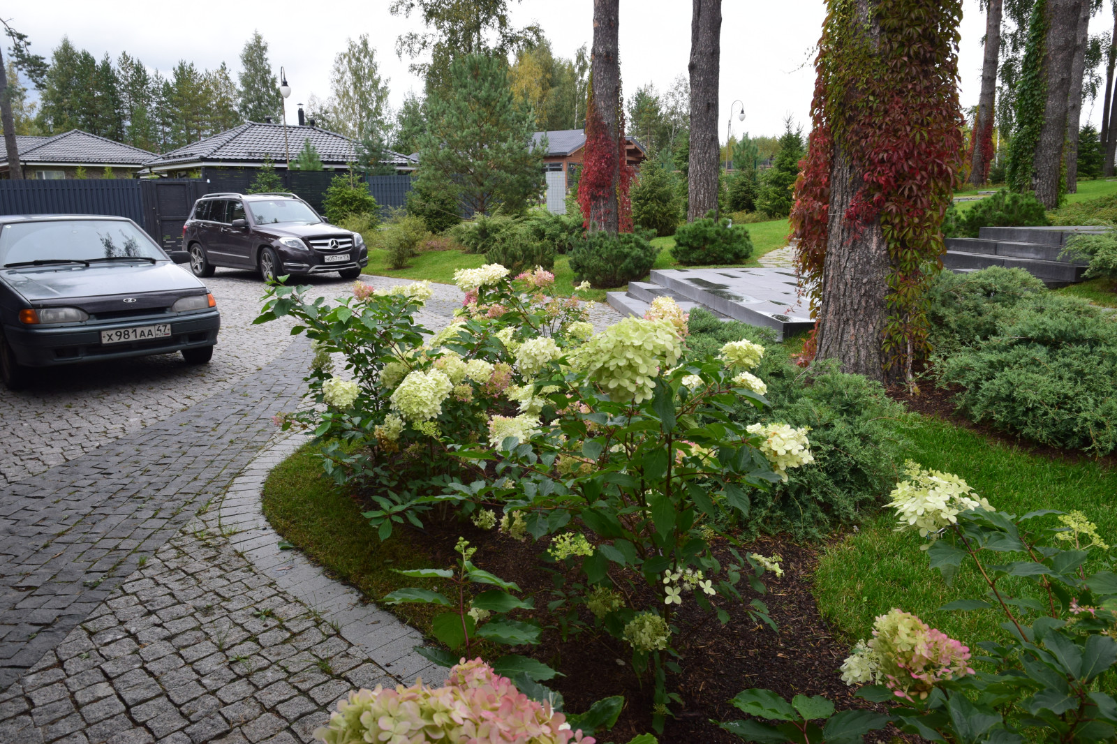 Сестроречье