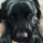 greg_edlund69