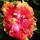 katherine_ludbrook24