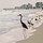 ken_mathews