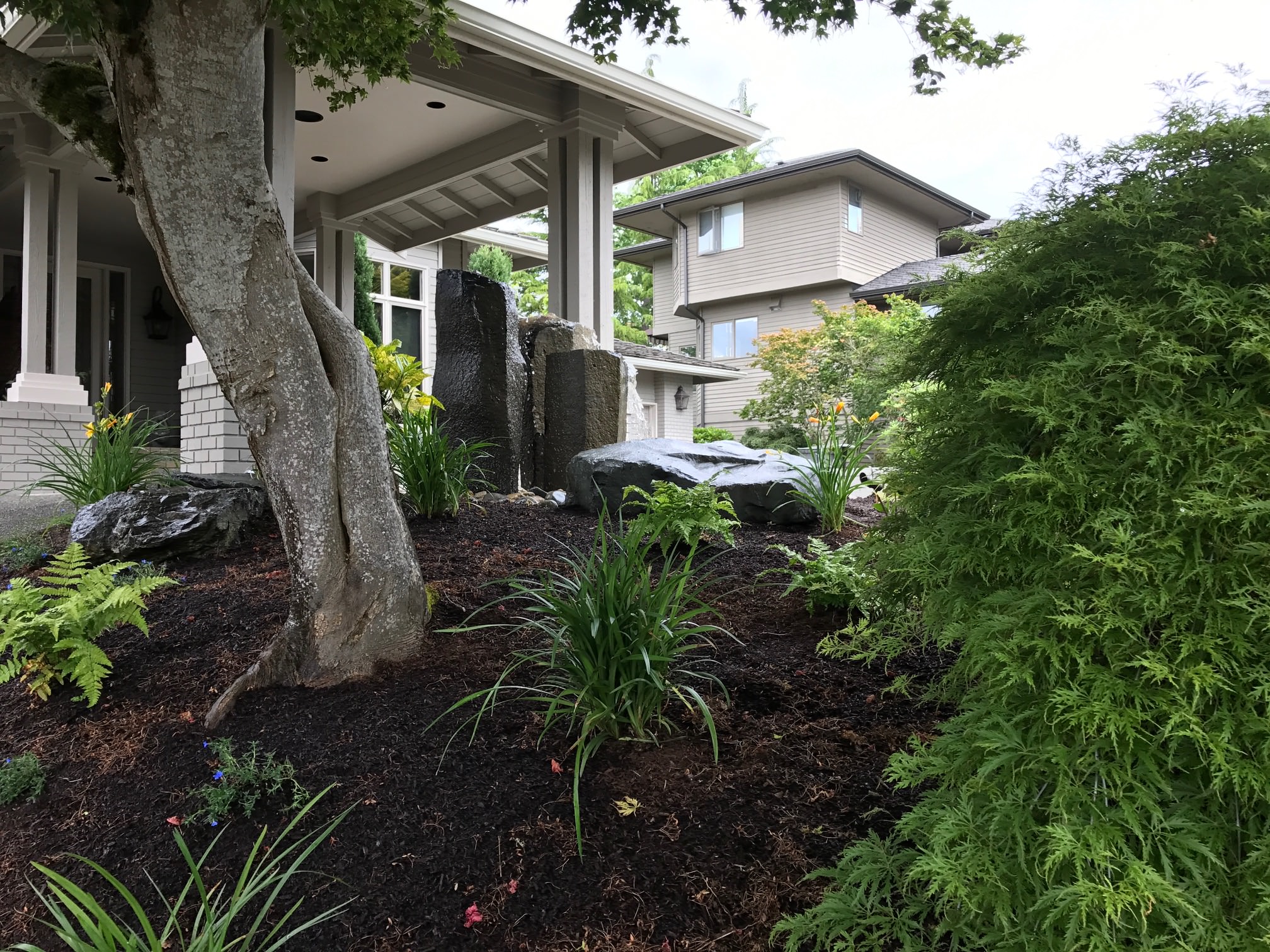 After Landscape Renovation: Front Entry Outdoor Experience