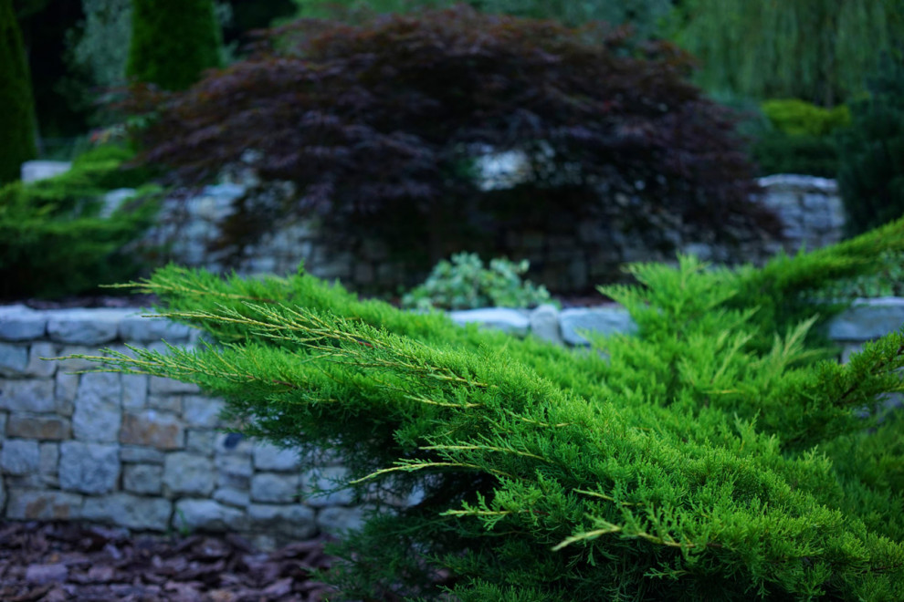 Лазурный Берег Сочи