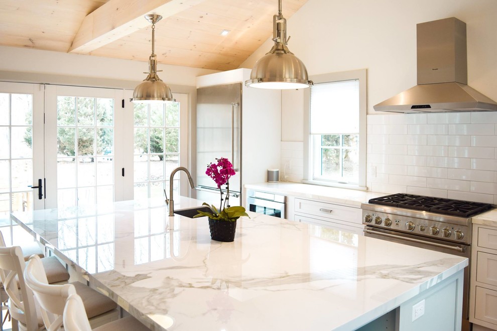 Kitchen - transitional kitchen idea in New York