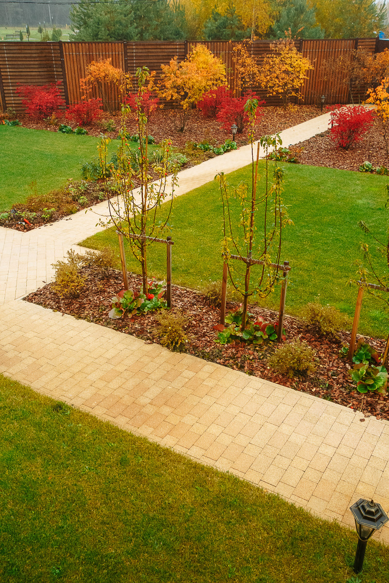 Сад с румянцем