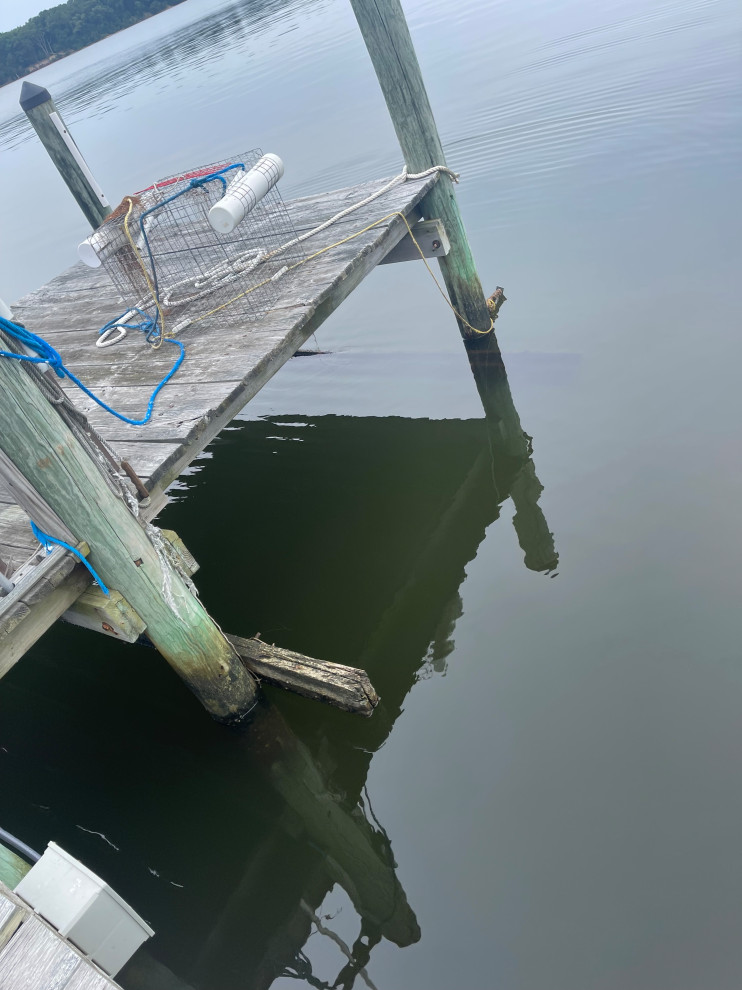 Dock Repair