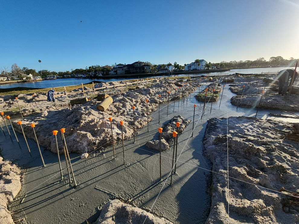Tarpon Springs Project 2024-2025