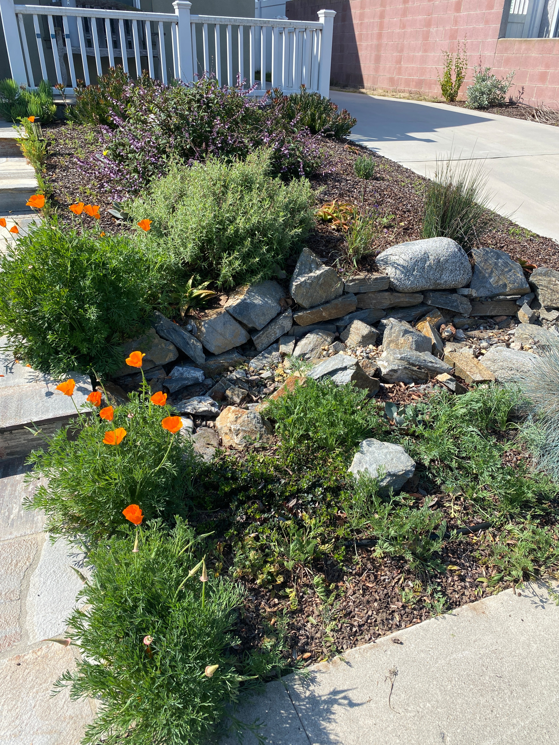 Low Maintenance Curb Appeal