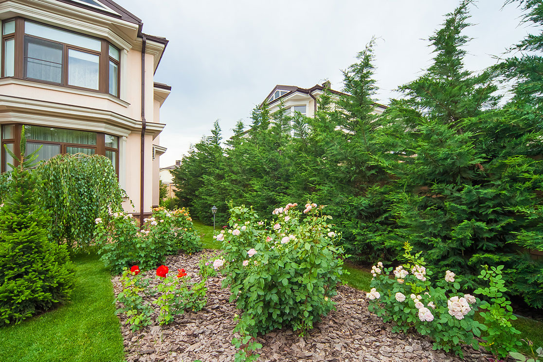 ландшафтный дизайн 2