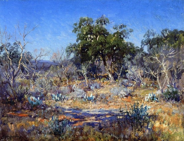 Julian Onderdonk A January Day In The Brush Country Gallery Wrap Canvas Traditional Prints And Posters By Art Megamart Houzz