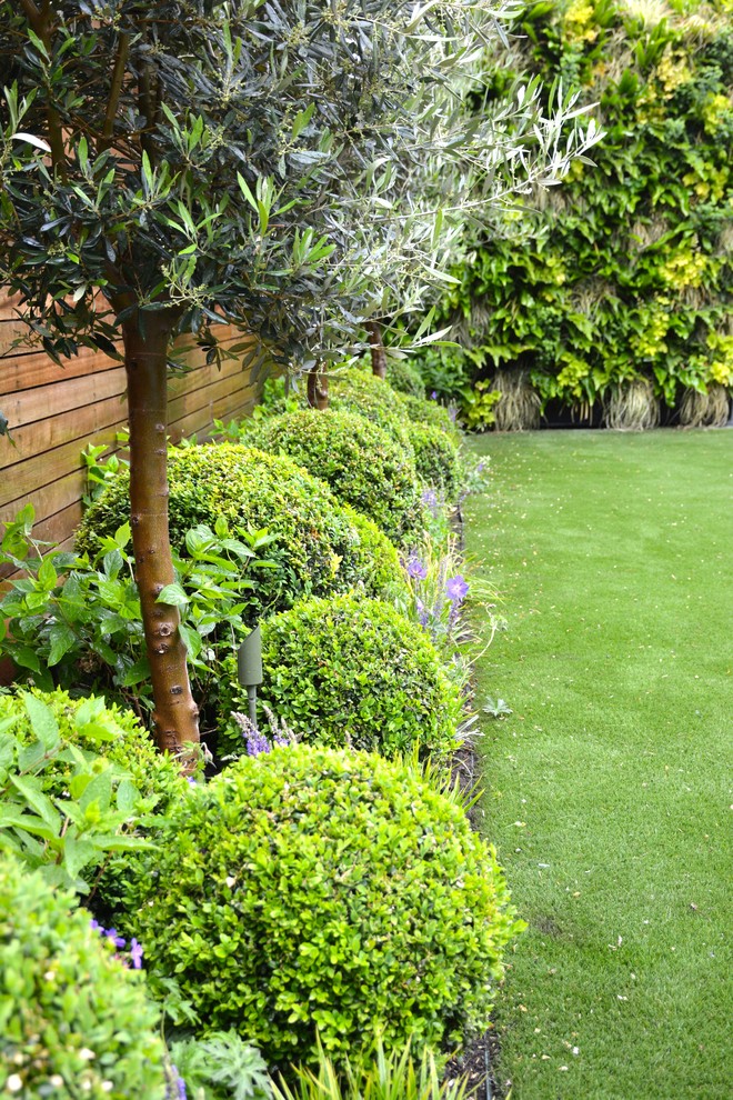 Photo of a mid-sized traditional backyard garden in London with a vertical garden and natural stone pavers.