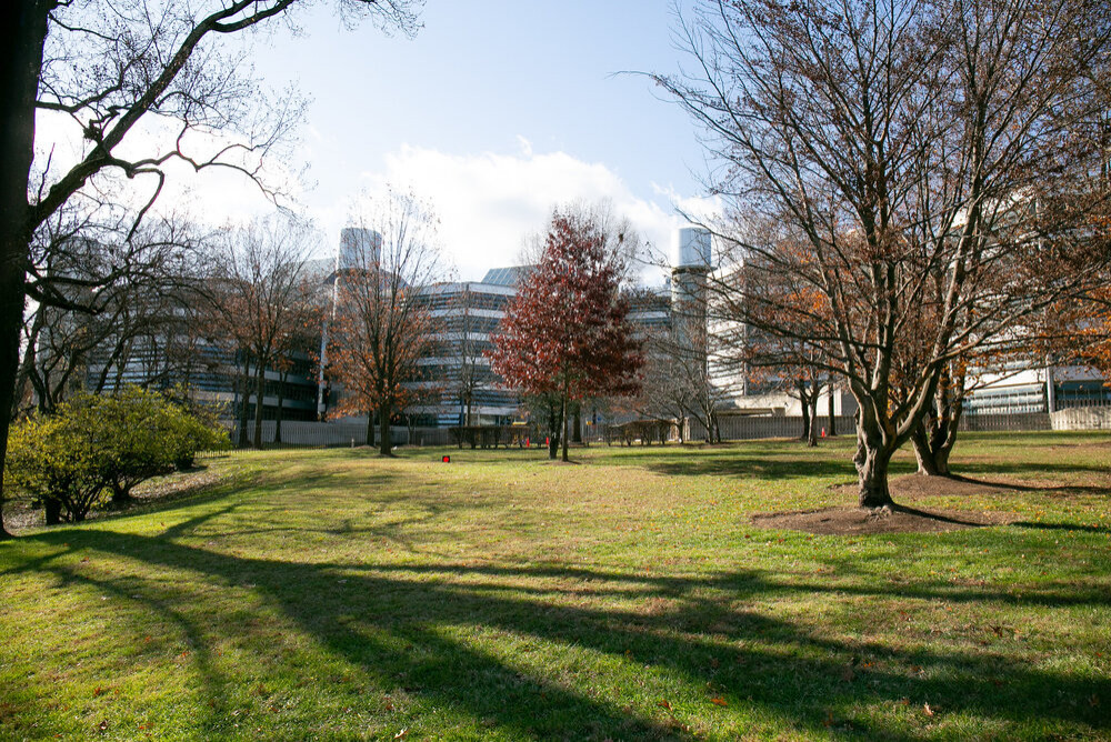 Whittle School & Studios (with Renzo Piano Building Workshop)