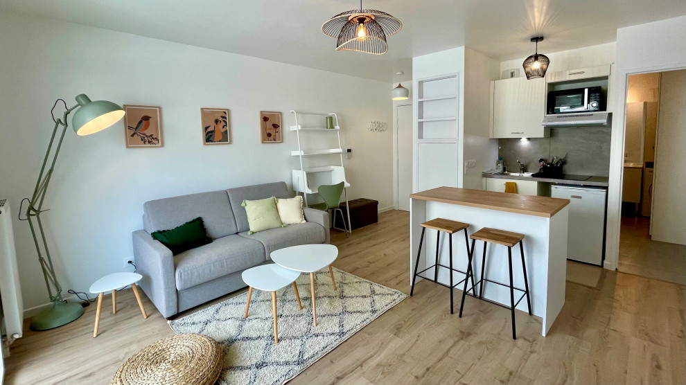 Design ideas for a small scandinavian open concept family room in Paris.