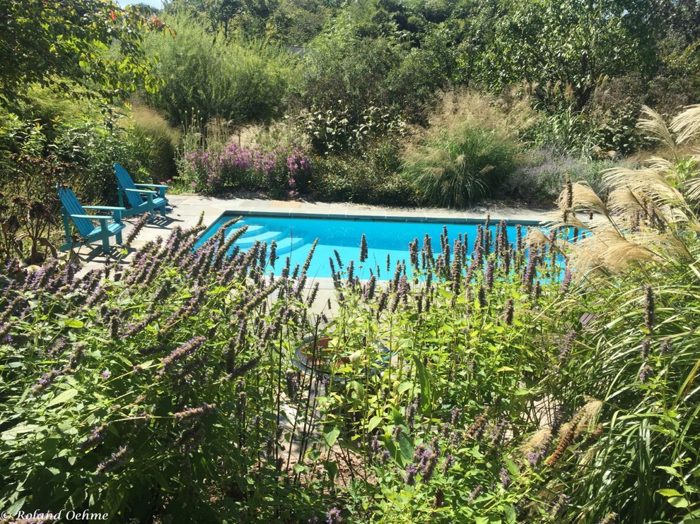 HalfAcre Garden in Towson, MD Contemporary Landscape Baltimore