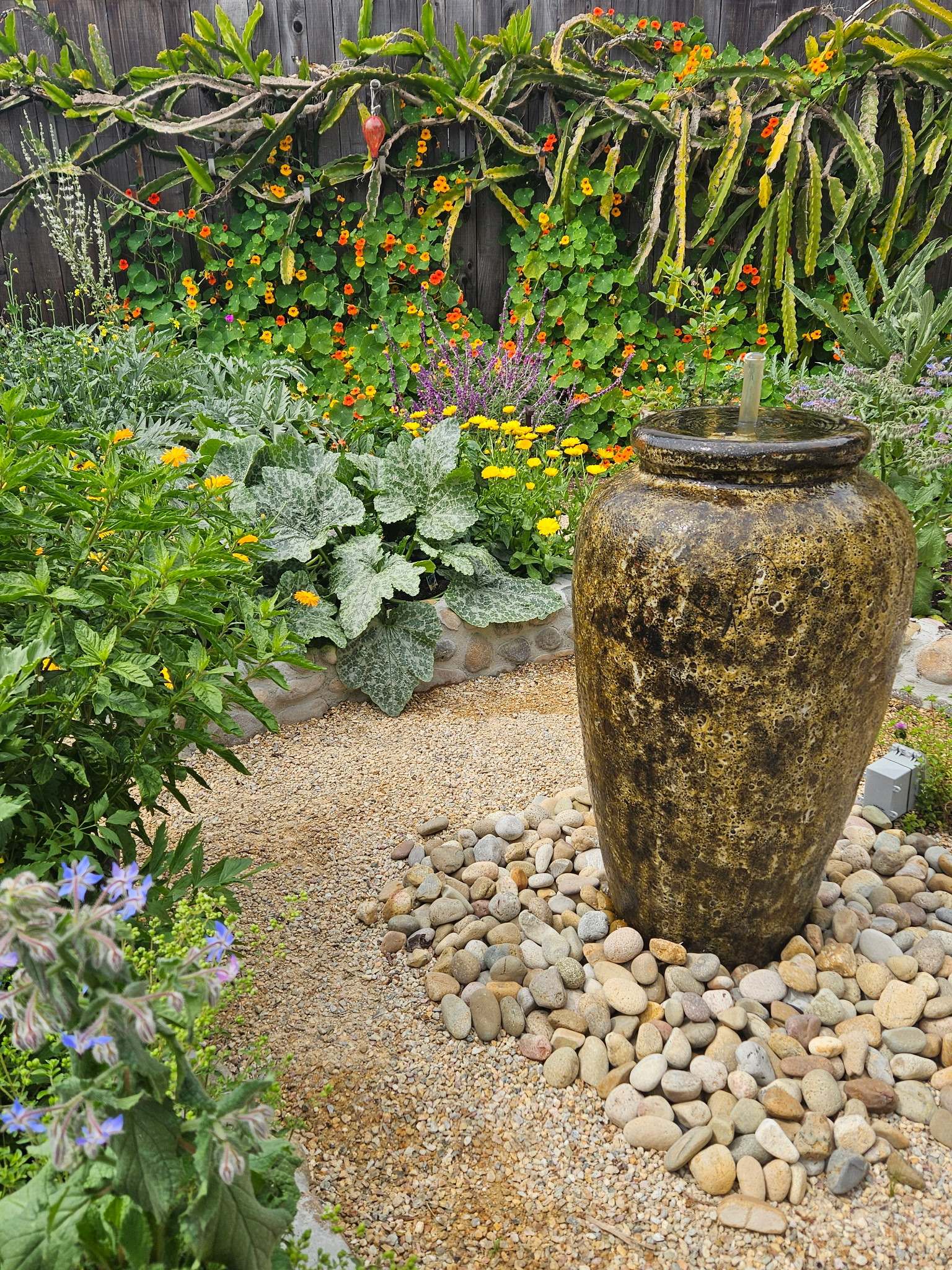 edible garden with water feature