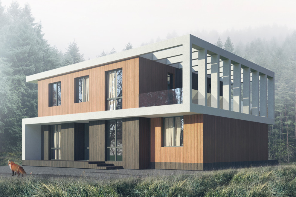 Концепция загородного дома, пример начальной-вариативной стадии проектирования.