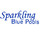 Sparkling Blue Pool Service