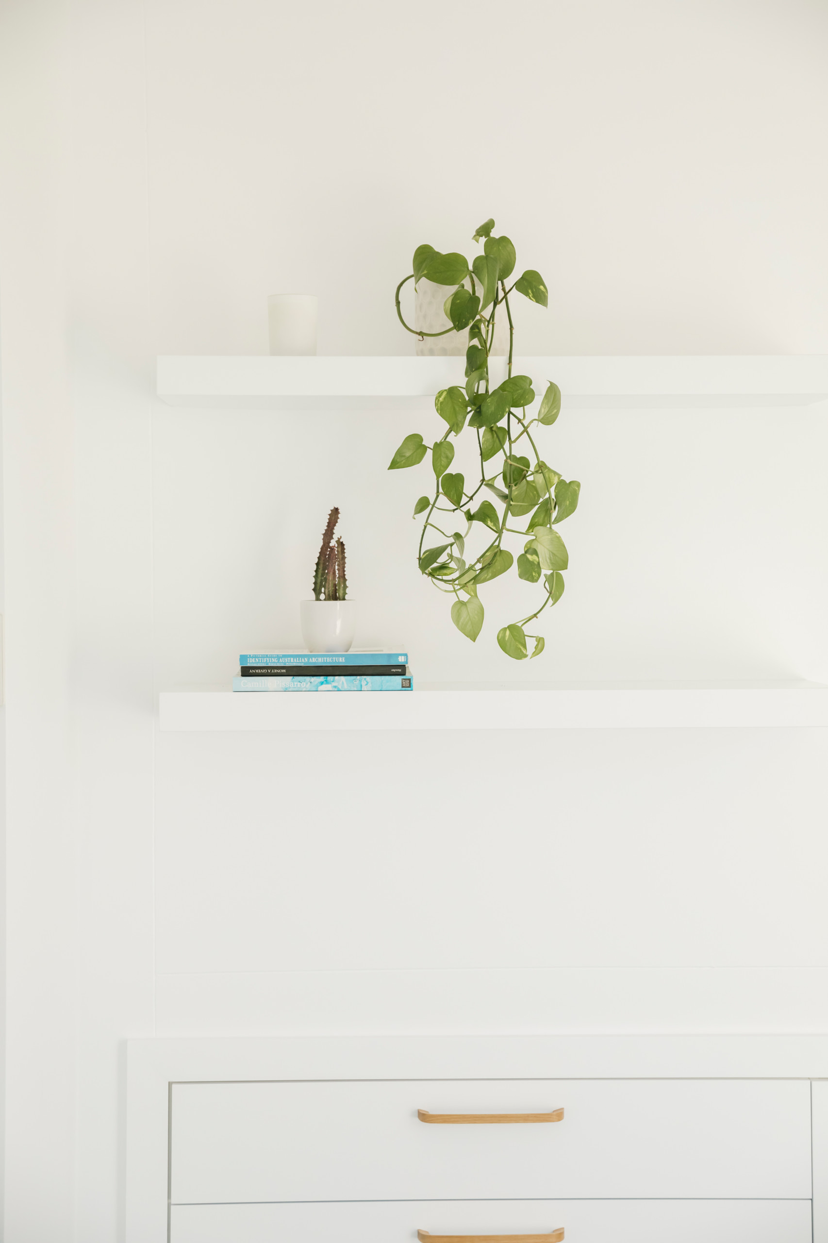 Westleigh Wonder - Neutral Bay