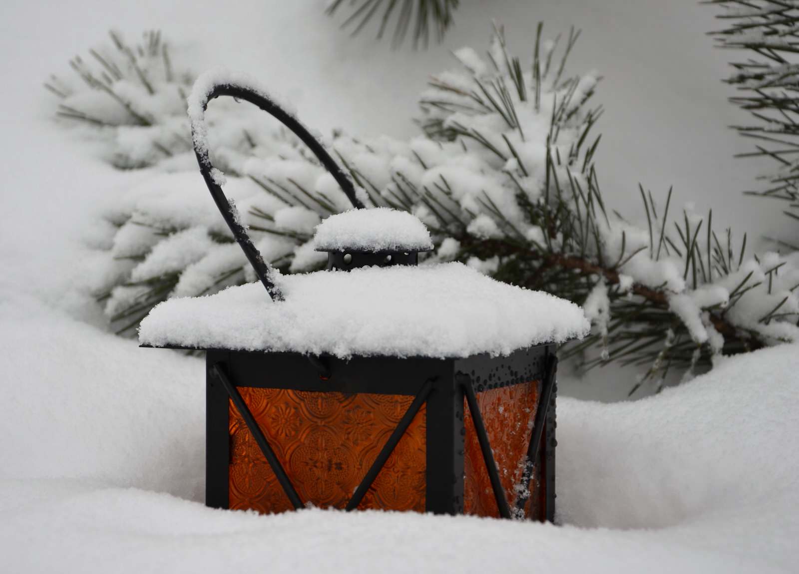 Садовый участок - новый год