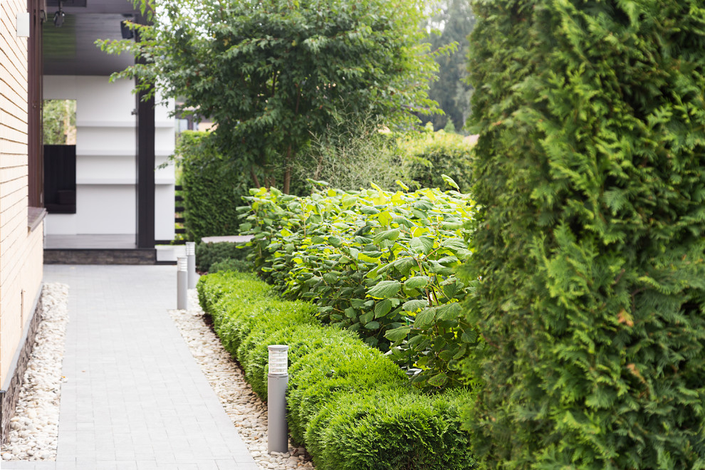 Фотосъёмка сада (к/п Светлогорье)