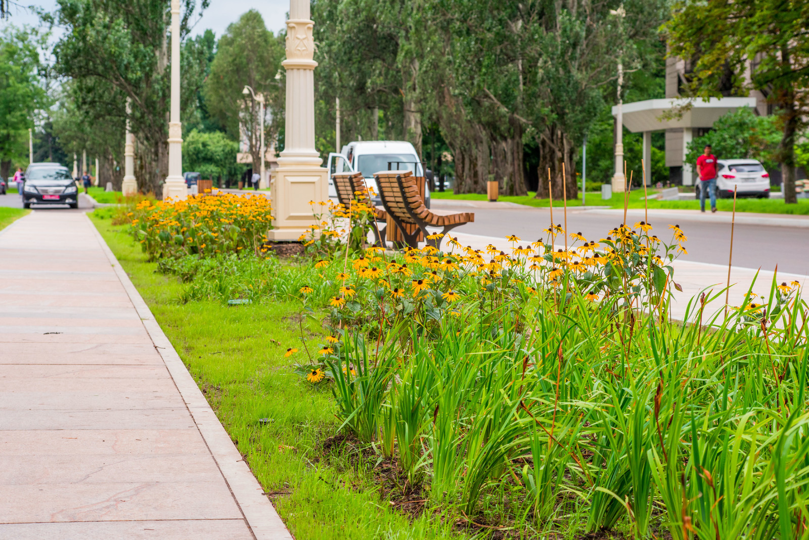 ЛАНДШАФТНЫЙ ПАРК ВДНХ Г.МОСКВА
