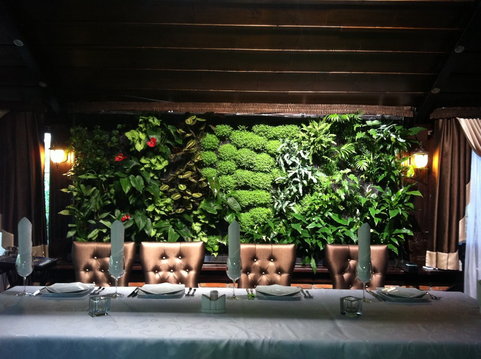 Вертикальные сады