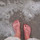 liz_grinberg