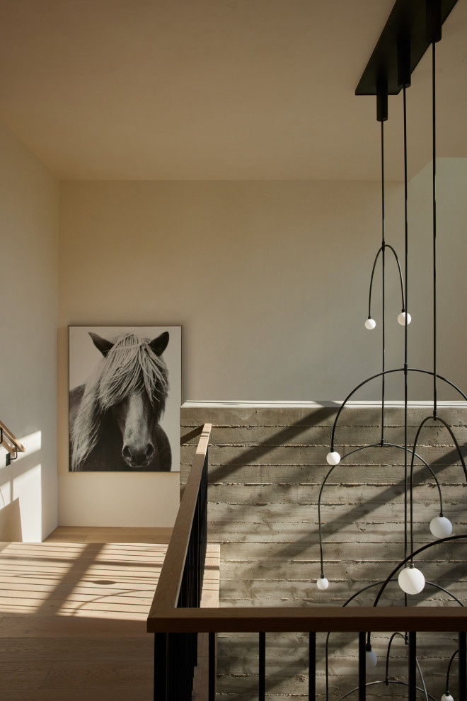 Hallway - transitional hallway idea in Phoenix
