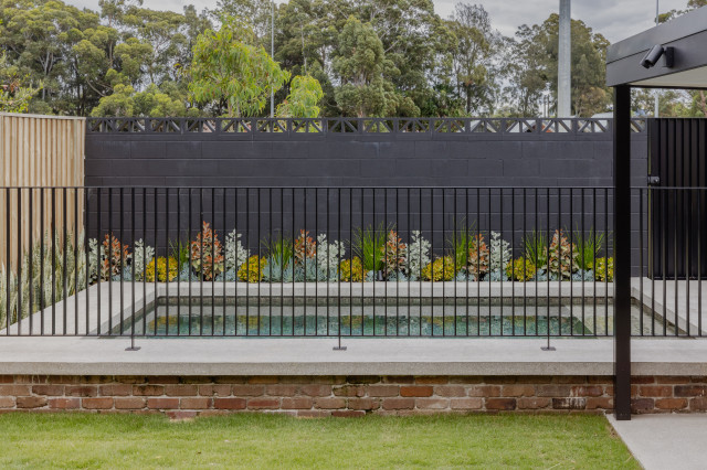 Twelve Black contemporary-pool