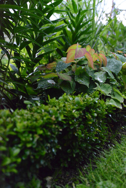 Gr&ouml;nt giardino