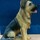 krupa_sowmya