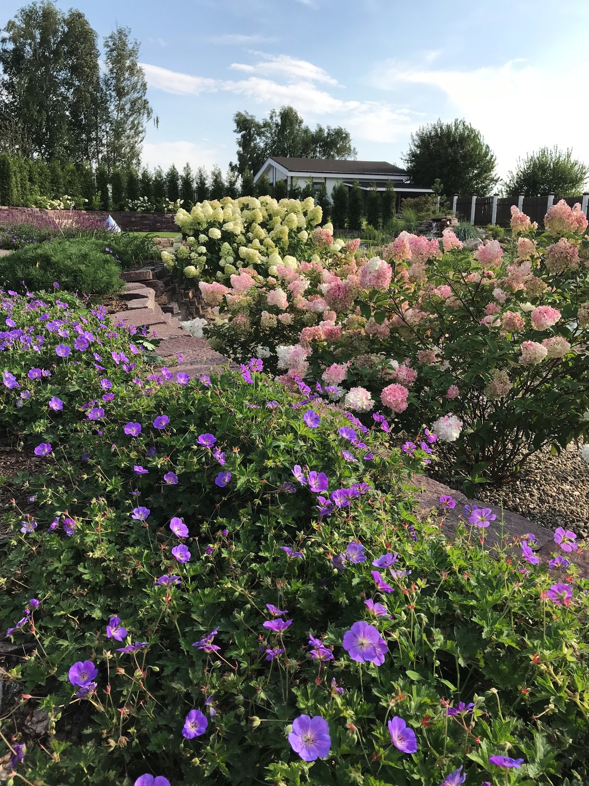 Реконструкция сада,  КП "Терраски"