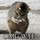 eric_mar51