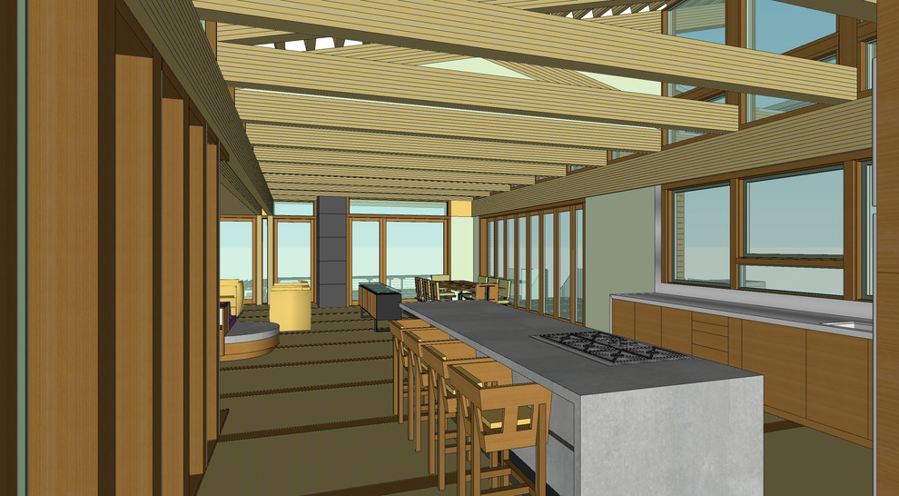 'Shooting Stars' Unbuilt Projects: The Arndt Residence