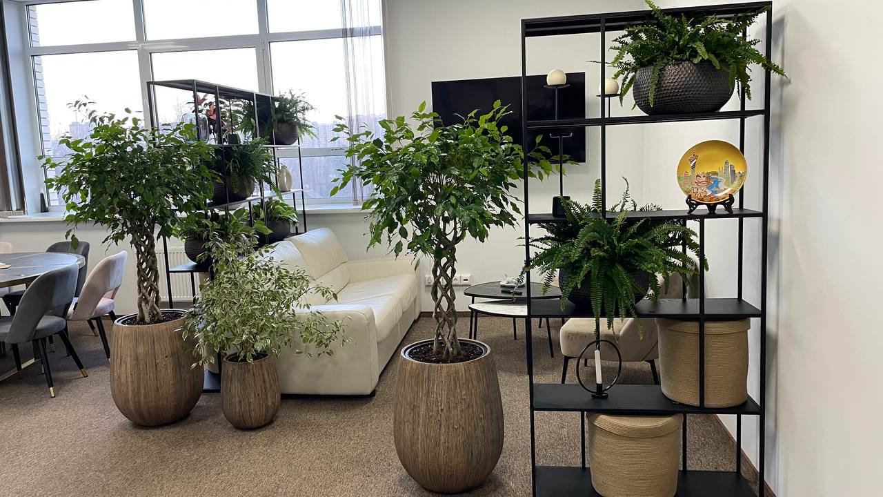 Озеленение офиса компании "ROBE GARDEN"