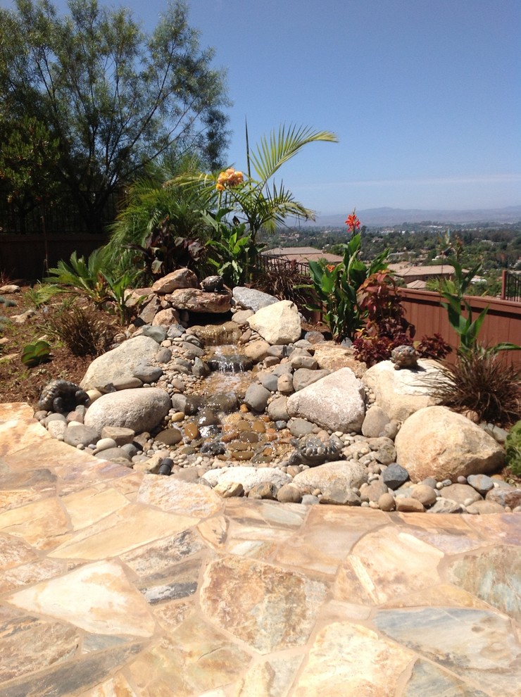 This is an example of a traditional garden in San Diego.