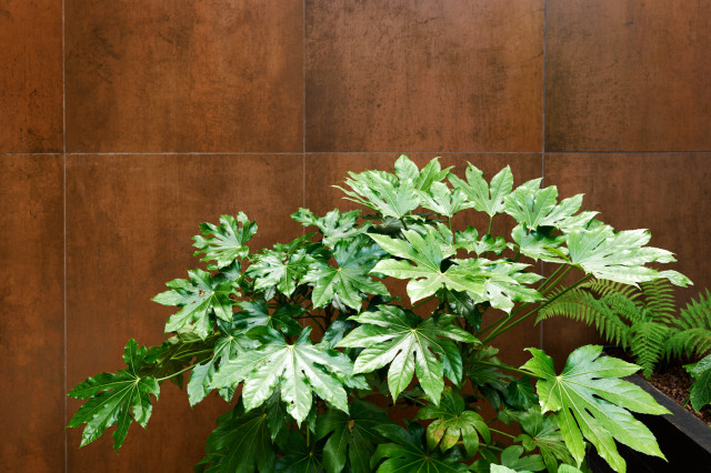 Contemporary courtyard modern-garden