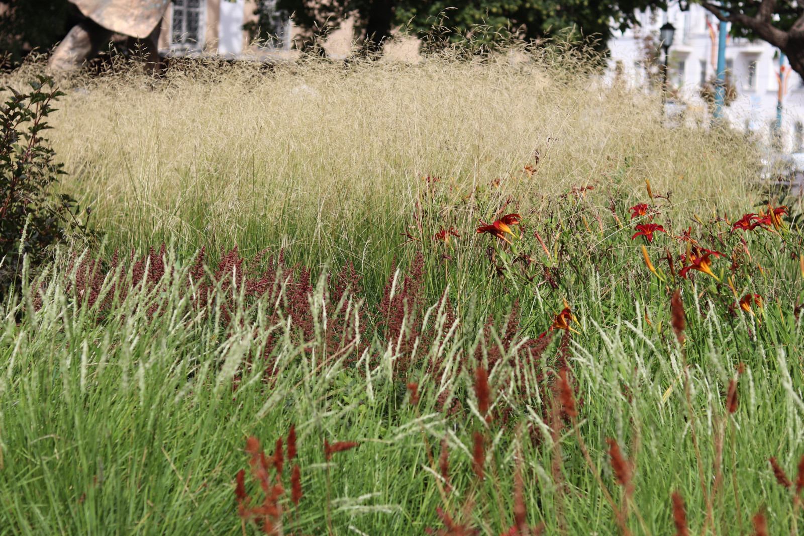 Цветник у памятника А.П.Платонову