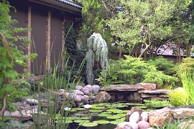 Photo of an asian garden in Dallas.