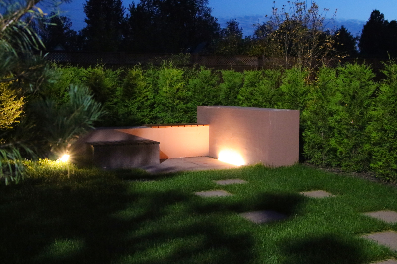 Петровское, ночной сад, 2018-2020 гг.