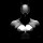 mudabbir_mohammed8