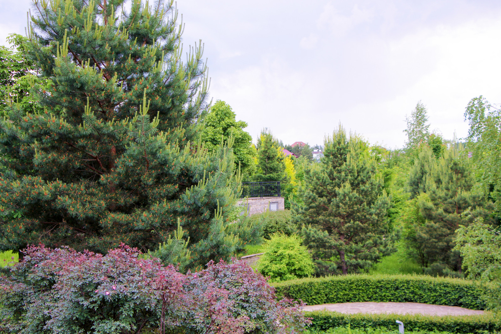 Лобаново, 2012-2021 гг.