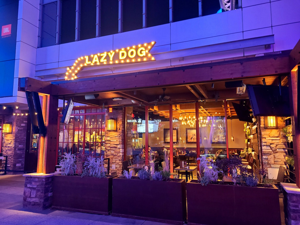 Lazy Dog Restaurant | LA Live