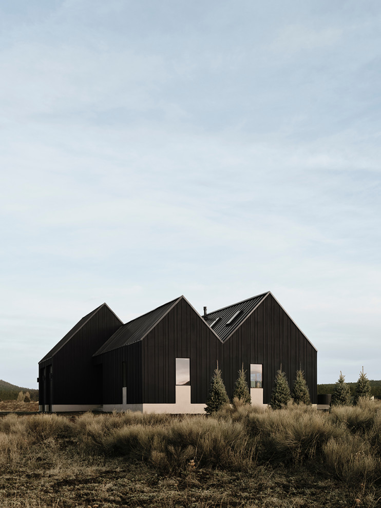 Exemple d'une façade de maison noire nature en panneau de béton fibré et planches et couvre-joints de taille moyenne et de plain-pied avec un toit à deux pans, un toit en métal et un toit noir.