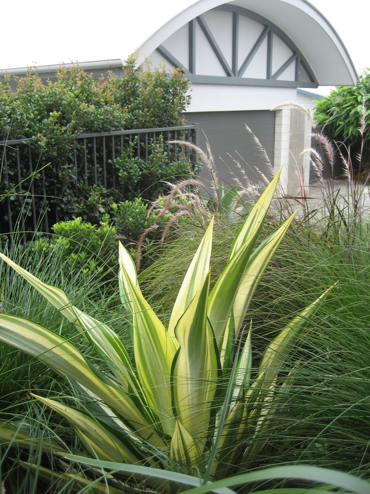 Photo of a mid-sized contemporary front yard full sun xeriscape in Gold Coast - Tweed with a garden path.
