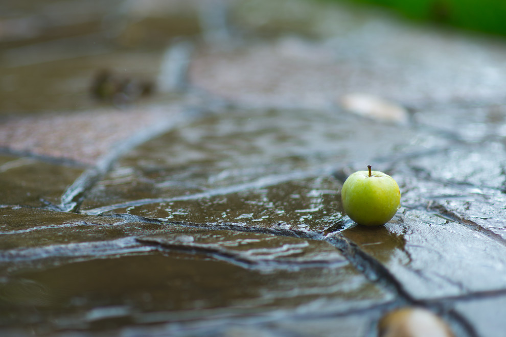 Регулярная классика