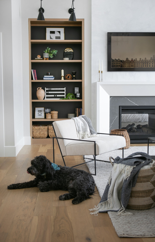 Example of a transitional home design design in Chicago
