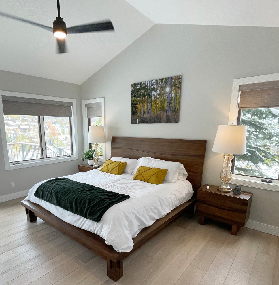Design ideas for a contemporary master bedroom in Denver.