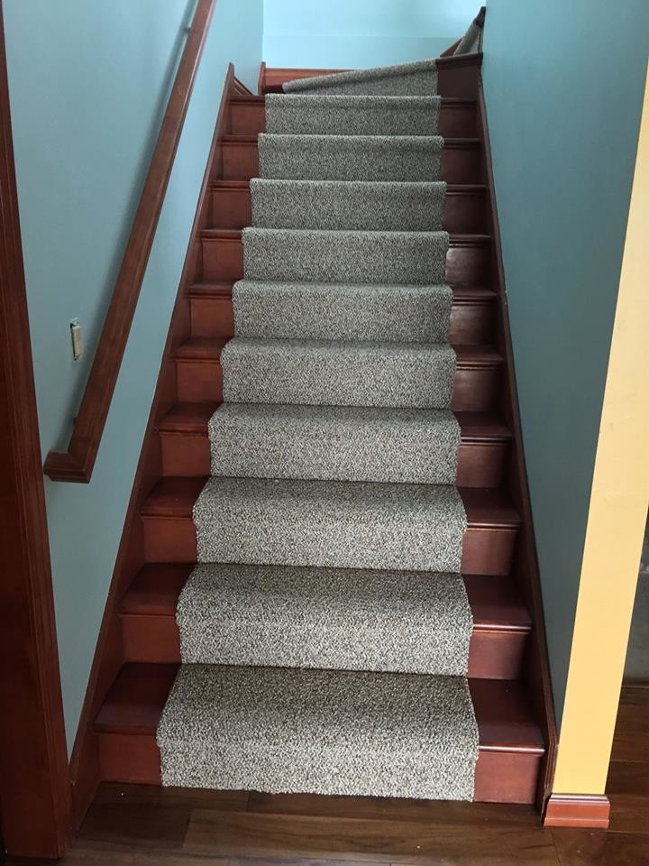 Staircase - transitional carpeted straight staircase idea